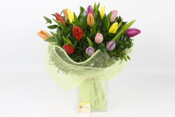TULIPANS Ramo de 16 tulipanes multicolores